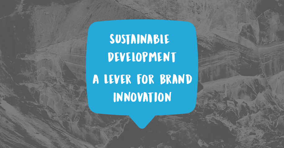 Sustainable development Brand innovation Competitive advantage Market opportunities